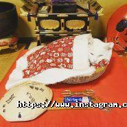 Турне-М, туристична компанія фото