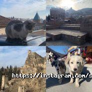 4-you, СТО самообслуживания фото