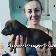 Margaritki.com, шоу-рум фото