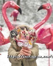 Веселі карамелі, магазин-Кондитерська фото