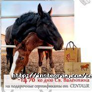 Centaur, кінно-спортивний комплекс фото