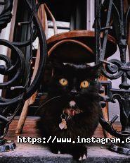 The Lodge, кав'ярня фото