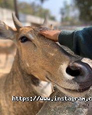 Інсайт, студія йоги фото