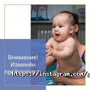 Дельфиненок, академия раннего плавания фото
