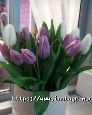 Grand Grill, ресторан фото