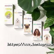 Тритон, зооцентр фото