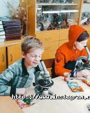 Universum, спортивні секції фото