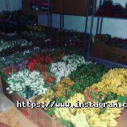 Green Rose, магазин квітів та товарів для флористики фото