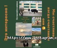 Лайка, дресирувально-готельний клуб фото