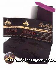 Олівія, нігтьова студія фото