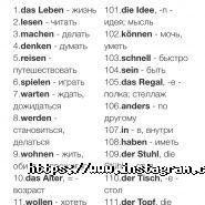 Fayna Centre, мережа мовних центрів фото