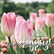 Ноев Ковчег, контактный мини-зоопарк фото