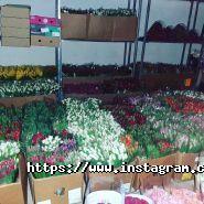 Green Rose, магазин квітів та товарів для флористики фото