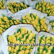 Green Rose, магазин квітів та товарів для флористики фото