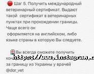 Дар, центр ветеринарних послуг фото