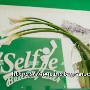 Selfie Beauty Bar, студія краси фото