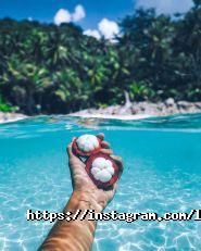 Lucky Fly, туристичне агентство фото