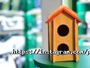 PetStore, зоомагазин фото