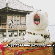 Турне-М, туристична компанія фото