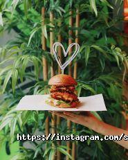 Star Burger, мережа кафе швидкого харчування фото