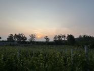 Дом вина, гостеприимная усадьба семьи Михаила Поличко фото