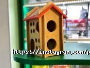 PetStore, зоомагазин фото