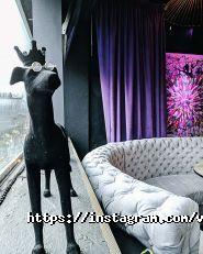 Versus, ресторан фото