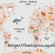 Стерео Студія, студія дизайну та поліграфії фото