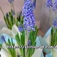 Даруй квіти, магазин квітів фото