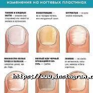 Же Тем, студія краси фото