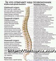 Ермен Clinic фото