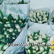 Green Rose, магазин квітів та товарів для флористики фото