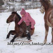 Темпо, кінний клуб фото