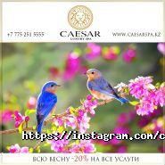 Caesar Luxury SPA, СПА-комплекс фото