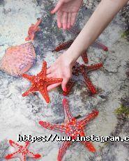 Best Travel, турагентство фото