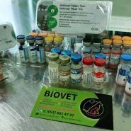 Biovet, ветеринарна клініка фото