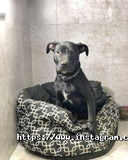 Тритон, зооцентр фото