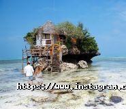 Paradise Travel, туристическое агентство фото