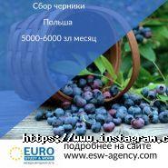 Euro Sudy & Work, центр працевлаштування фото