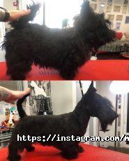 Моhnatikoff, зоосалон фото