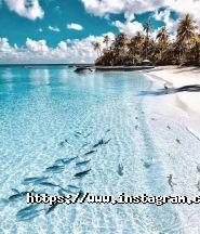 23 travel, туристичне агентство фото