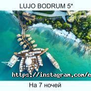Exotica.tours, туристичне агентство фото