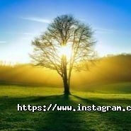 Совенята, дитячий центр фото