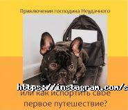 SolVoyage, туристичне агентство фото