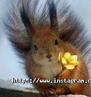 Білка, питний заклад фото