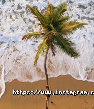 Чудеса світу, туристичне агентство фото