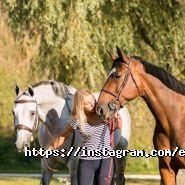 Equides Club, парково-готельний клуб фото