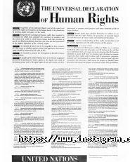 Драгоман, бюро перекладів фото