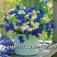 WoMan, салон краси фото