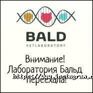 Bald, ветеринарна лабораторія фото